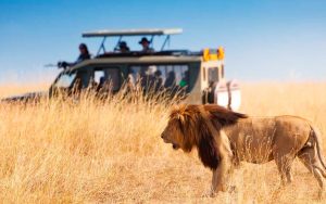 safari Kenia